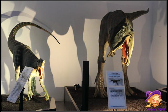 《遊記—台北》地球最古老的恐龍展~恐龍登陸?! - 第47張圖 《遊記—台北》地球最古老的恐龍展~恐龍登陸?!