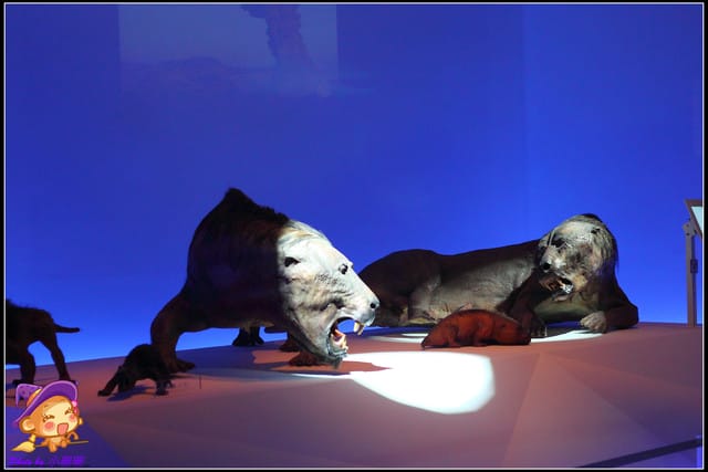 《遊記—台北》地球最古老的恐龍展~恐龍登陸?! - 第26張圖 《遊記—台北》地球最古老的恐龍展~恐龍登陸?!