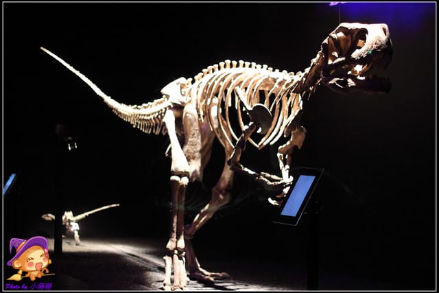《遊記—台北》地球最古老的恐龍展~恐龍登陸?! - 第7張圖 《遊記—台北》地球最古老的恐龍展~恐龍登陸?!