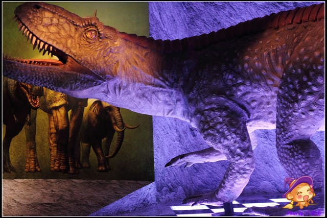 《遊記—台北》地球最古老的恐龍展~恐龍登陸?! - 第23張圖 《遊記—台北》地球最古老的恐龍展~恐龍登陸?!