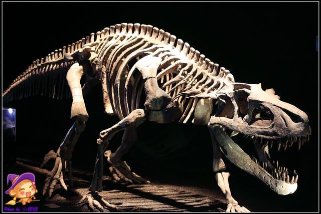 《遊記—台北》地球最古老的恐龍展~恐龍登陸?! - 第19張圖 《遊記—台北》地球最古老的恐龍展~恐龍登陸?!