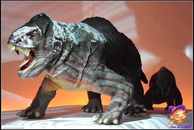 《遊記—台北》地球最古老的恐龍展~恐龍登陸?! - 第33張圖 《遊記—台北》地球最古老的恐龍展~恐龍登陸?!