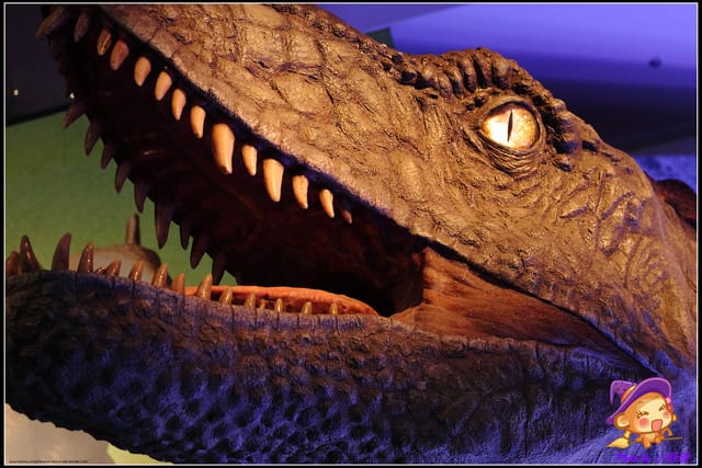 《遊記—台北》地球最古老的恐龍展~恐龍登陸?! - 第58張圖 《遊記—台北》地球最古老的恐龍展~恐龍登陸?!