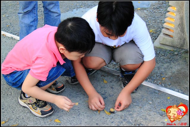 《食記—宜蘭》玻璃屋No Menu手作料理~想吃還得靠“運氣”溜! - 第10張圖 《食記—宜蘭》玻璃屋No Menu手作料理~想吃還得靠“運氣”溜!