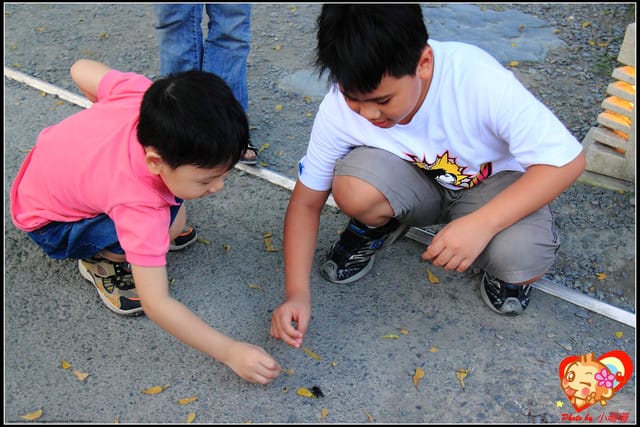 《食記—宜蘭》玻璃屋No Menu手作料理~想吃還得靠“運氣”溜! - 第9張圖 《食記—宜蘭》玻璃屋No Menu手作料理~想吃還得靠“運氣”溜!