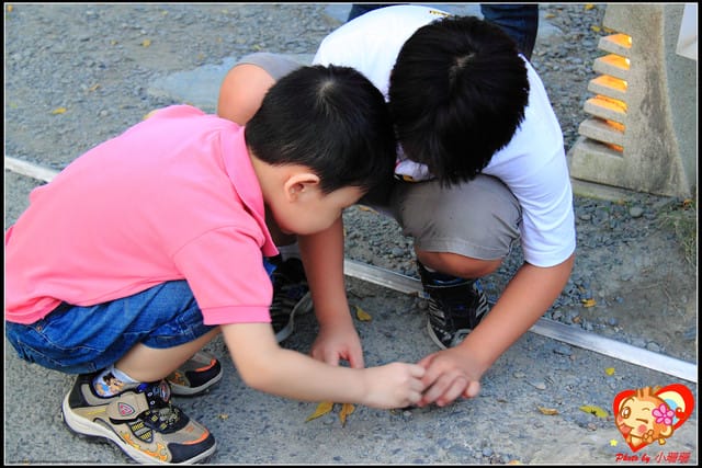 《食記—宜蘭》玻璃屋No Menu手作料理~想吃還得靠“運氣”溜! - 第11張圖 《食記—宜蘭》玻璃屋No Menu手作料理~想吃還得靠“運氣”溜!
