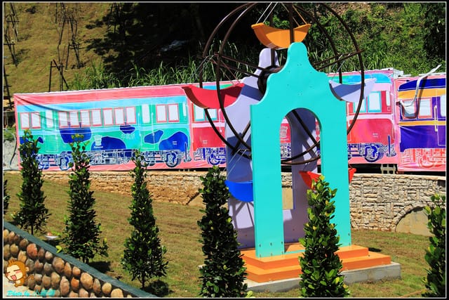 《遊記—南投》大黑松小倆口元首館～來下棋吧！Checkmate！