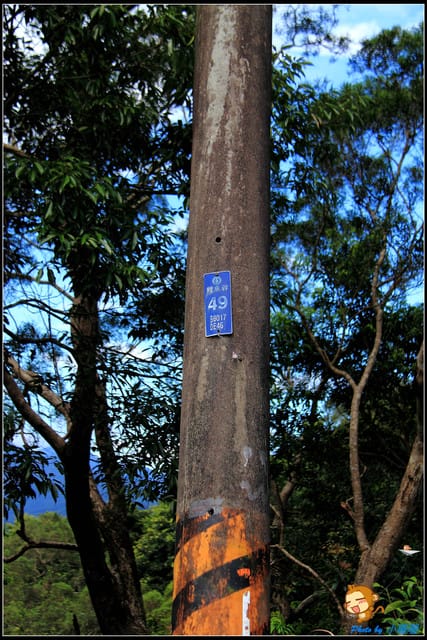 《遊記—新北石碇》石碇千島湖～絕美的私房景點！！