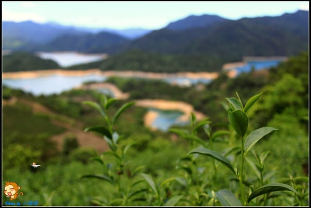 《遊記—新北石碇》石碇千島湖～絕美的私房景點！！