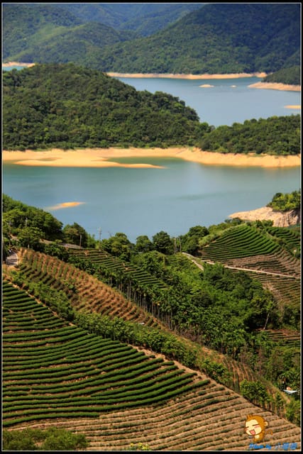 《遊記—新北石碇》石碇千島湖～絕美的私房景點！！