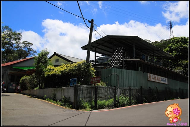 《團購美食—新北新店》吃冰去～桂山冰棒