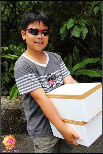 《團購美食—新北新店》吃冰去～桂山冰棒