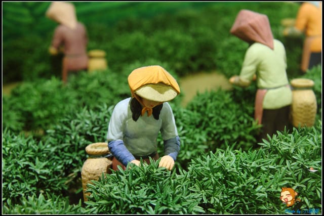 《遊記—苗栗》客家文化園區～客家風華再現