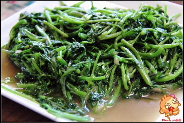 《食記—新北石碇》花現桂花村～茶鄉桂花農場