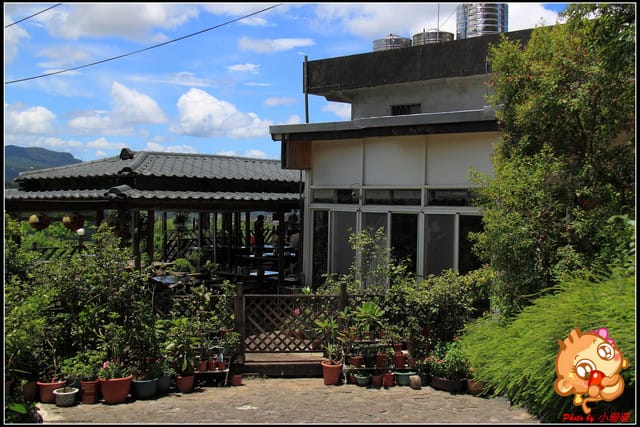 《食記—新北石碇》花現桂花村～茶鄉桂花農場