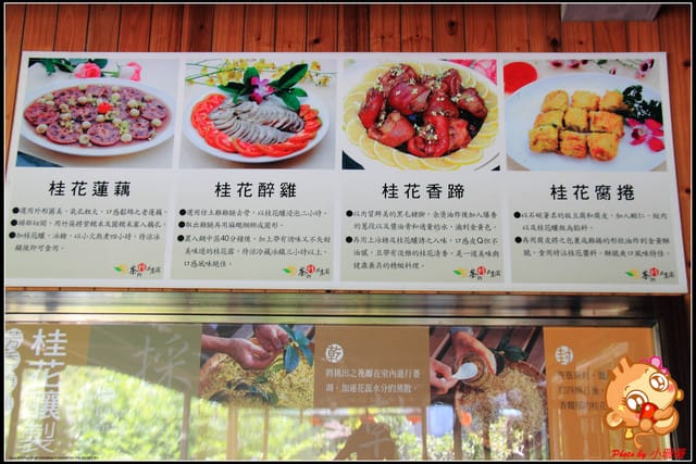 《食記—新北石碇》花現桂花村～茶鄉桂花農場