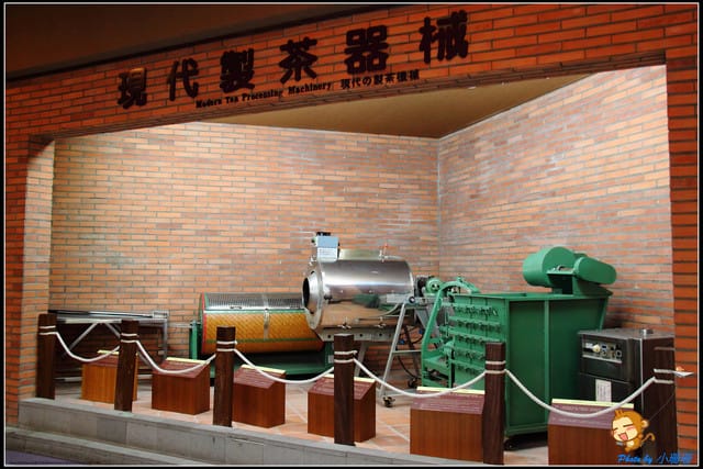 《遊記—新北坪林》茶業博物館