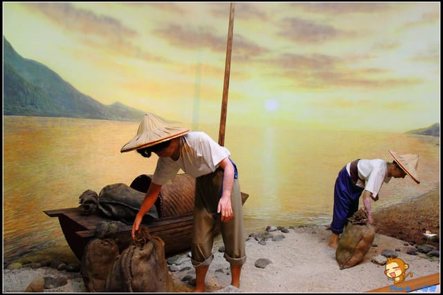 《遊記—新北坪林》茶業博物館