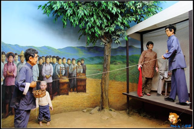 《遊記—新北坪林》茶業博物館