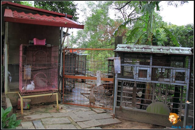 《遊記—苗栗》日新島之水榭樓台～如畫般的湖光山色！