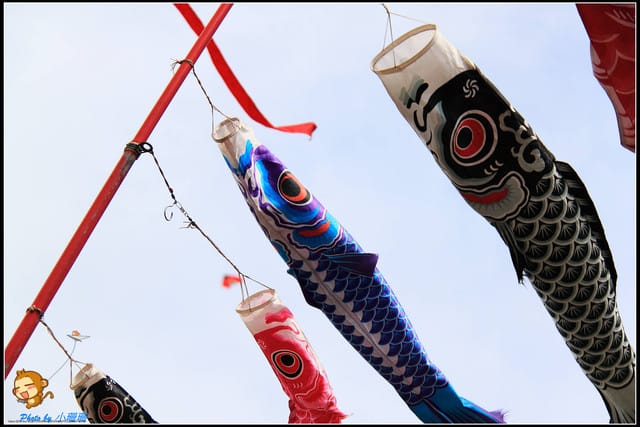 《遊記—新北三芝》北海岸風箏節～放飛囉！！