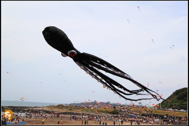 《遊記—新北三芝》北海岸風箏節～放飛囉！！