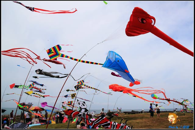 《遊記—新北三芝》北海岸風箏節～放飛囉！！