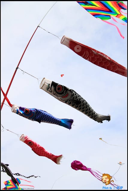 《遊記—新北三芝》北海岸風箏節～放飛囉！！