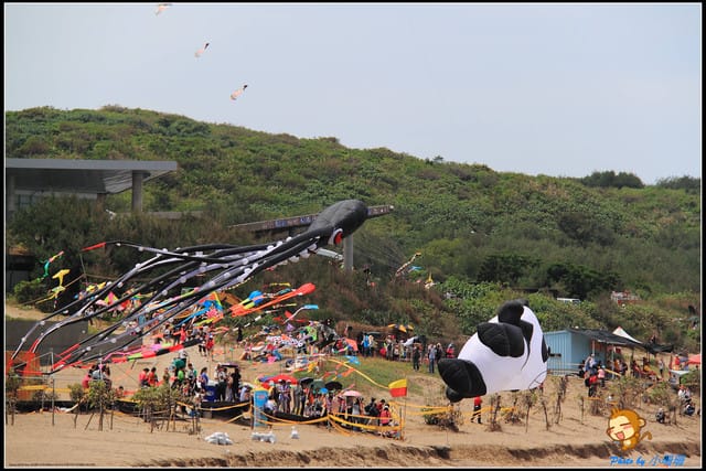 《遊記—新北三芝》北海岸風箏節～放飛囉！！