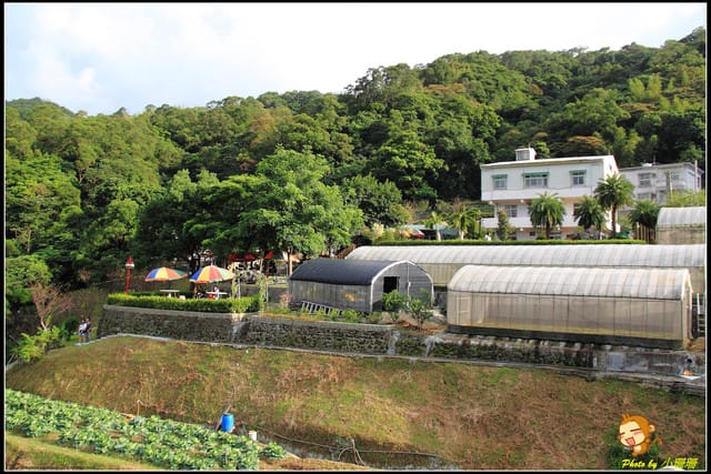 《遊記—台北木柵》發現迷你版金針花山~(￣▽￣)~*