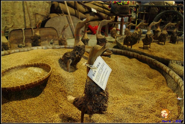 《遊記—南投草屯》寶島時代村～尋找回憶的“起點”！！