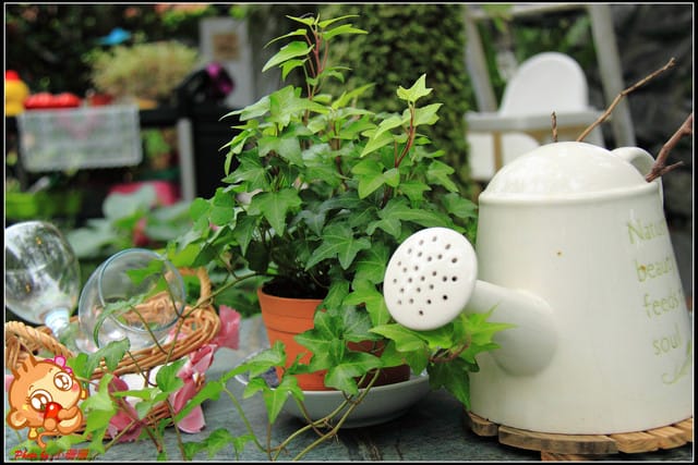 《食記—新北三芝》踏進“幸福王國”遇見幸福的真諦～