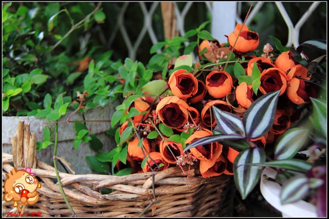 《食記—新北三芝》踏進“幸福王國”遇見幸福的真諦～