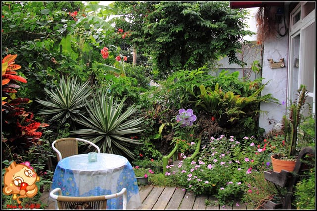 《食記—新北三芝》踏進“幸福王國”遇見幸福的真諦～