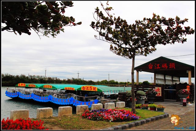 《遊記—台南》台灣袖珍版亞馬遜河～四草綠色隧道