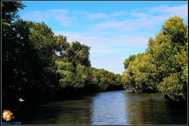 《遊記—台南》台灣袖珍版亞馬遜河～四草綠色隧道