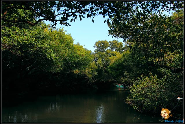 《遊記—台南》台灣袖珍版亞馬遜河～四草綠色隧道