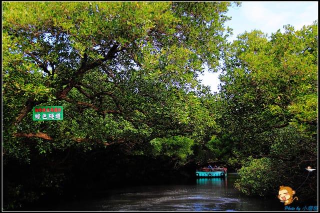 《遊記—台南》台灣袖珍版亞馬遜河～四草綠色隧道