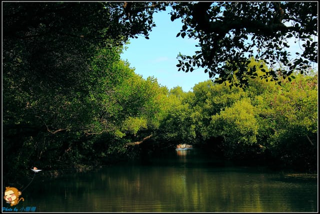 《遊記—台南》台灣袖珍版亞馬遜河～四草綠色隧道