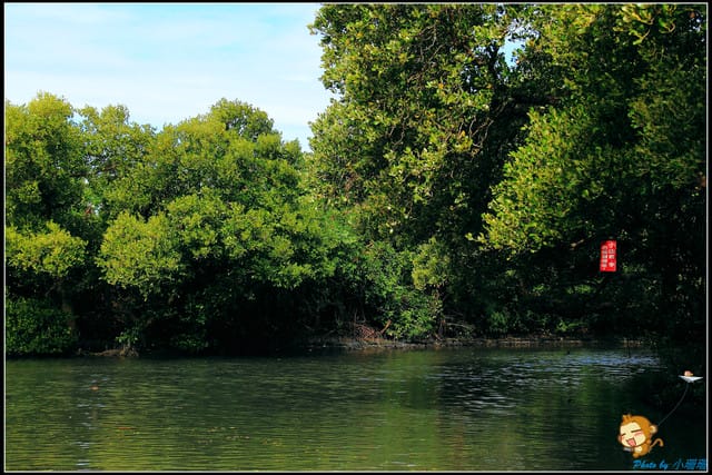 《遊記—台南》台灣袖珍版亞馬遜河～四草綠色隧道