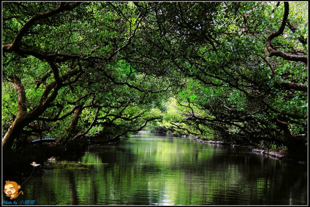 《遊記—台南》台灣袖珍版亞馬遜河～四草綠色隧道
