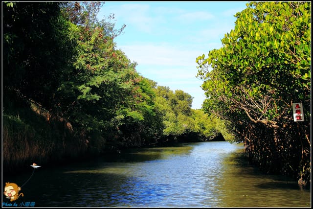 《遊記—台南》台灣袖珍版亞馬遜河～四草綠色隧道