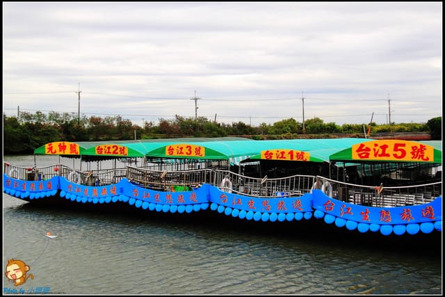 《遊記—台南》台灣袖珍版亞馬遜河～四草綠色隧道