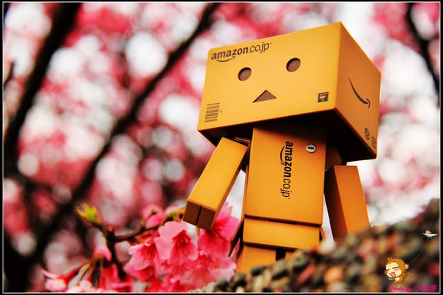 《遊記—台北陽明山》平菁街42巷寒櫻“炸”開！（禾豐農園）