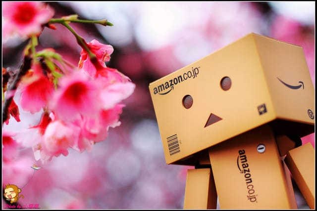 《遊記—台北陽明山》平菁街42巷寒櫻“炸”開！（禾豐農園）