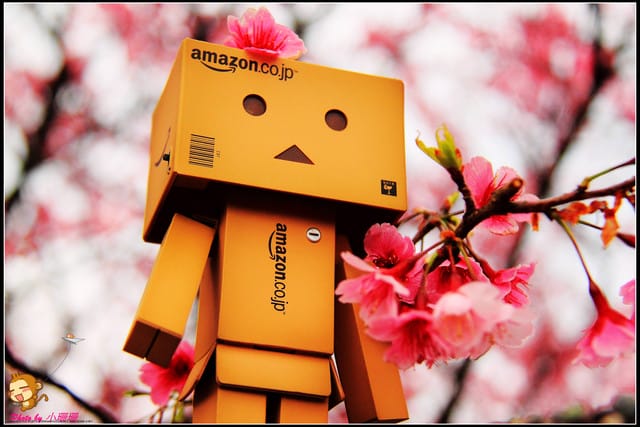 《遊記—台北陽明山》平菁街42巷寒櫻“炸”開！（禾豐農園）