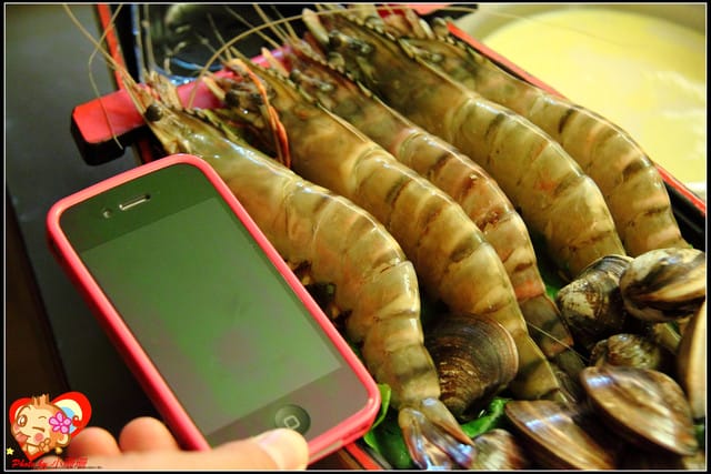 《廣宣—台北》金鍋盃小火鍋～出現“史前”野生大巨蝦？！