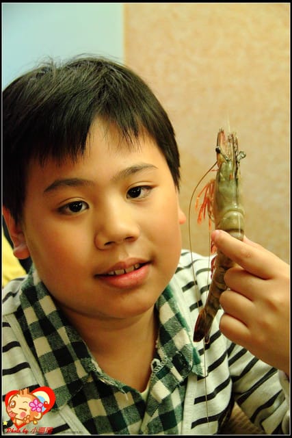 《廣宣—台北》金鍋盃小火鍋～出現“史前”野生大巨蝦？！