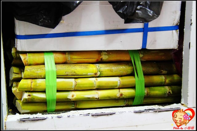 《廣宣—台北》金鍋盃小火鍋～出現“史前”野生大巨蝦？！