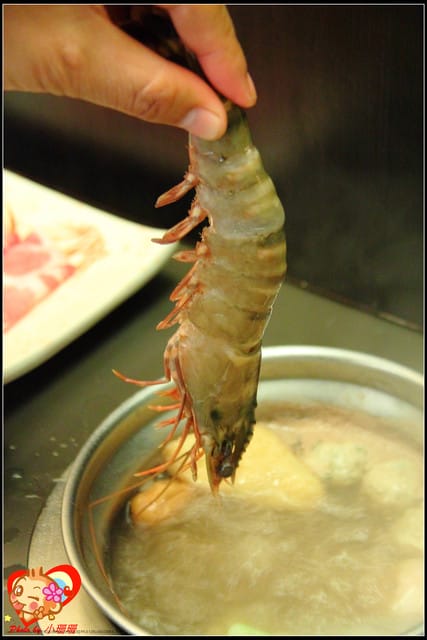 《廣宣—台北》金鍋盃小火鍋～出現“史前”野生大巨蝦？！